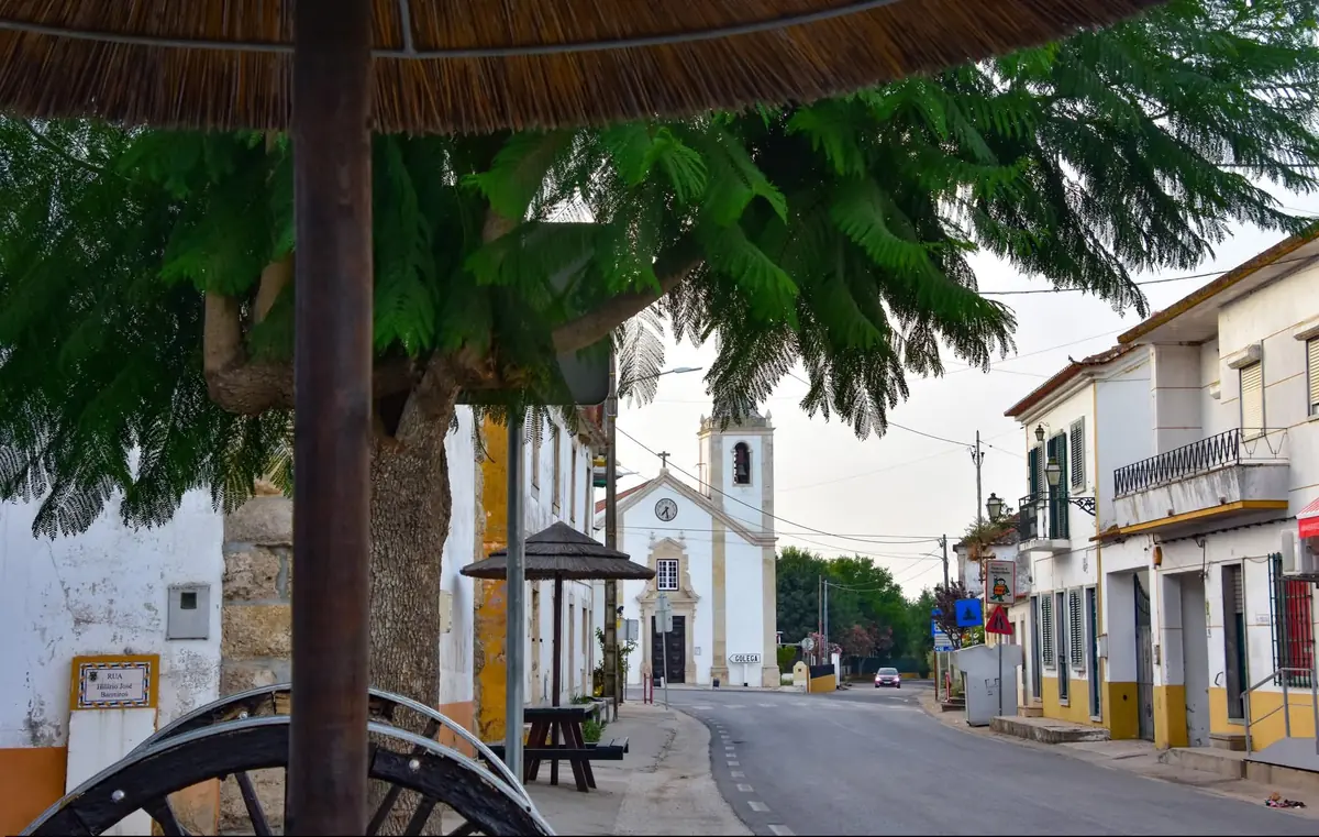 Rua de Pombalinho com árvores e edifícios