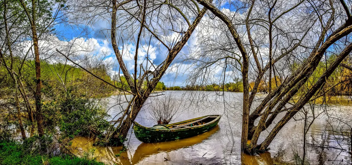 Vegetação e barco junto ao rio