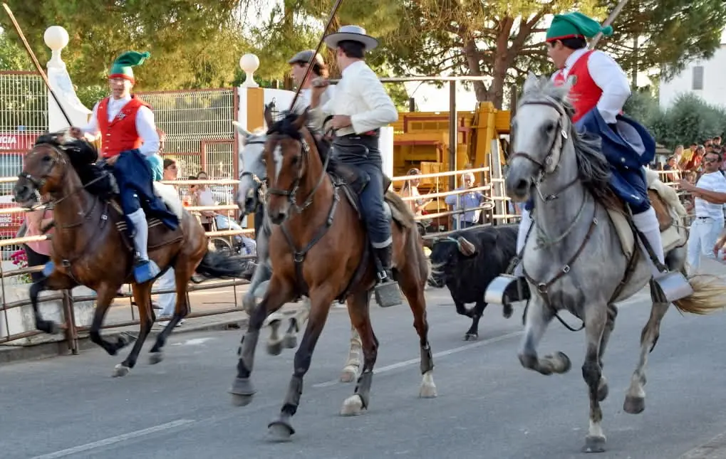 Cavaleiros numa rua de Pombalinho