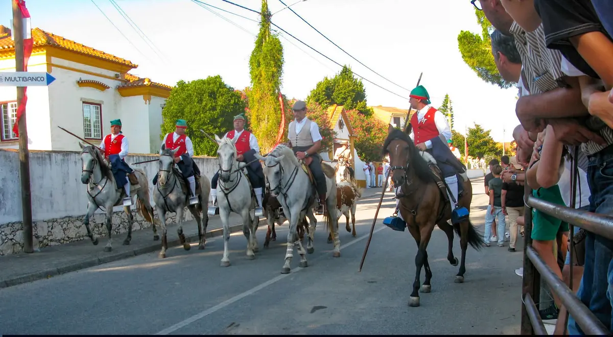 Campinos a cavalo numa avenida
