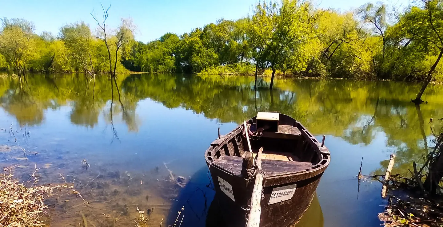 Barco tradicional junto à água e à vegetação ribeirinha